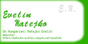 evelin matejko business card